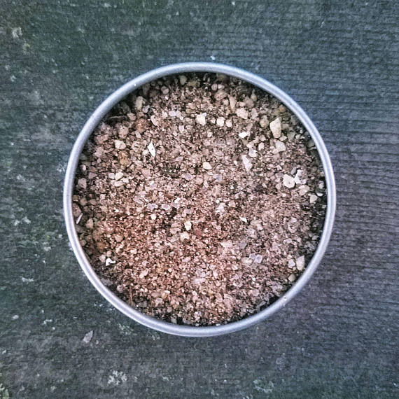 For All Sorts of Money Powder by This Crooked Crown